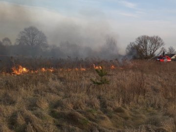 На Волині аж 40 рятувальників гасили 16  загорань сухої трави