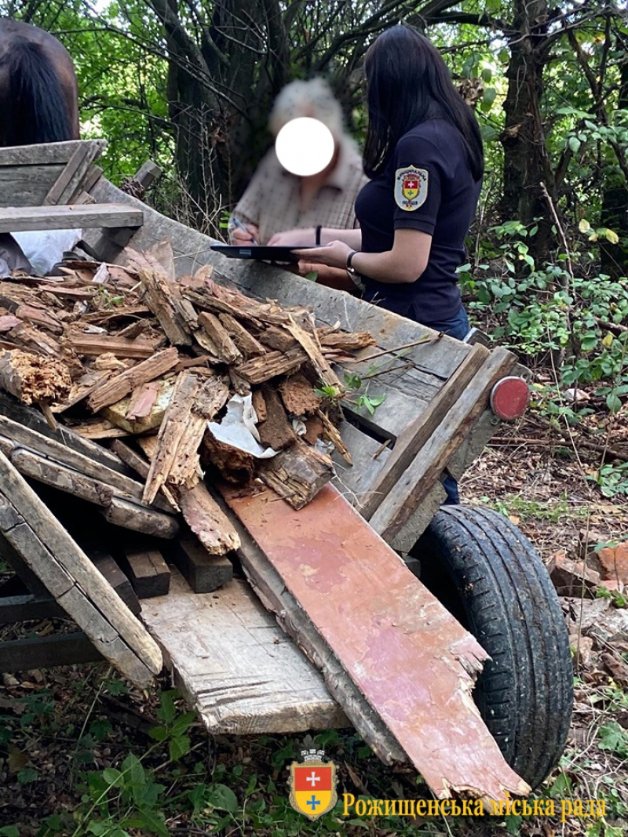 «Не знали, куди дівати»: волиняни викинули сміття у лісосмугу. ФОТО