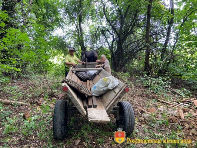 «Не знали, куди дівати»: волиняни викинули сміття у лісосмугу. ФОТО