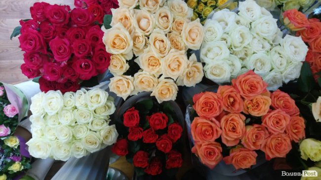 «Квітковий бум» на перший дзвоник: ціни в Луцьку. ФОТО