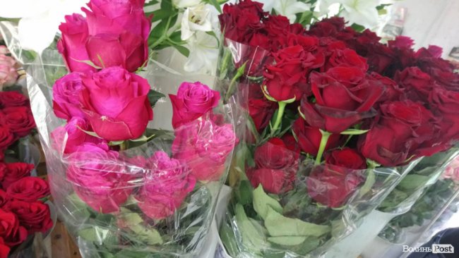 «Квітковий бум» на перший дзвоник: ціни в Луцьку. ФОТО