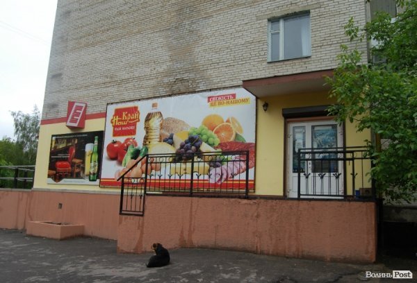 Щоразу, як іде дощ, у Луцьку затоплює багатоповерхівку. ФОТО. ВІДЕО