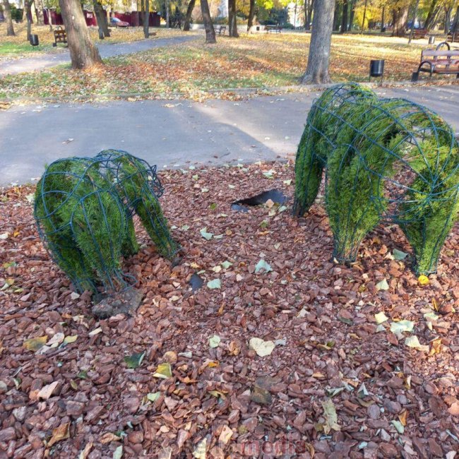 На Волині камери зафіксували вандалів у парку: просять впізнати