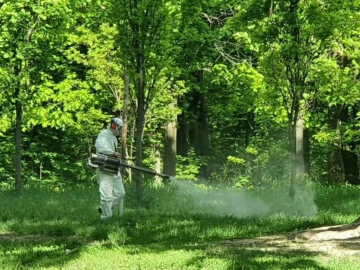 Луцькі парки та пляжі продезінфікують від кліщів: що робити містянам