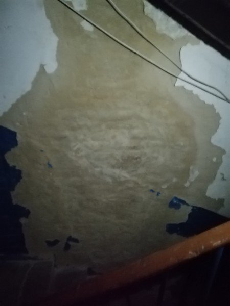 Сморід та сміття в квартирі аж до стелі: лучани нарікають на проблемну сусідку. ФОТО