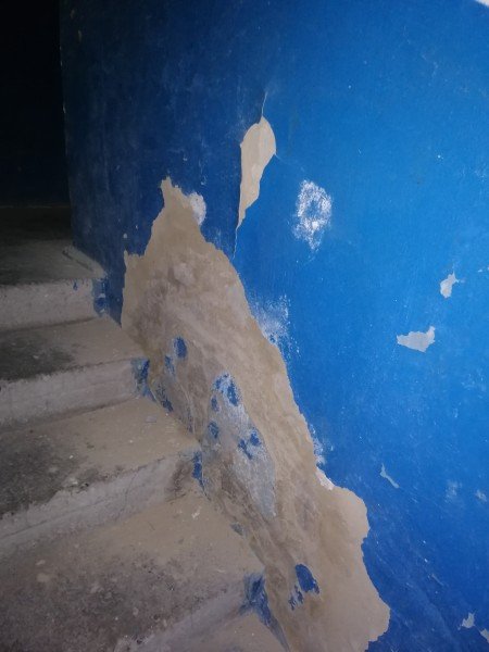 Сморід та сміття в квартирі аж до стелі: лучани нарікають на проблемну сусідку. ФОТО