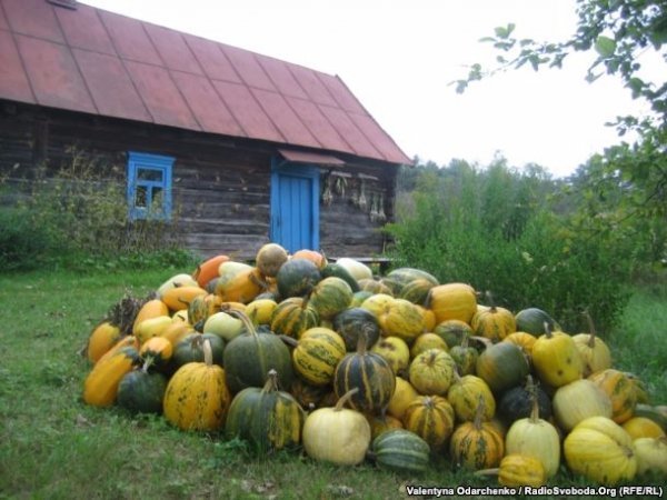 Волинська глибинка: село, яке може зникнути з карти Волині. ФОТО