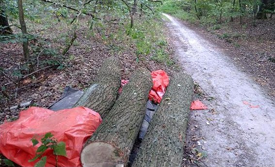 У Ківерцівському районі викрили крадіїв лісу. ФОТО