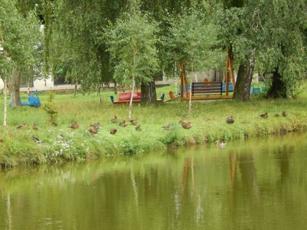  У Луцькому зоопарку ‒ унікальний птах. ФОТО