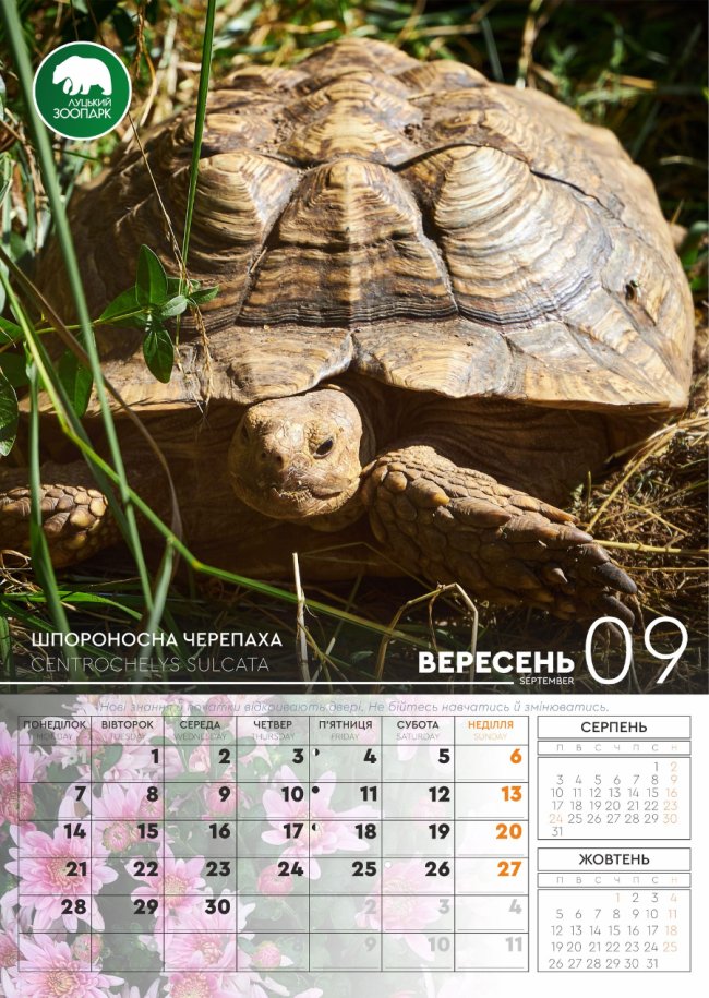 Луцький зоопарк випустив календар зі світлинами своїх підопічних. ФОТО