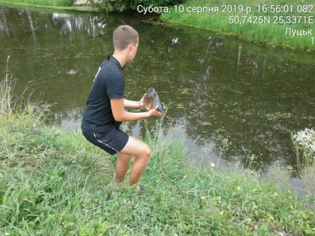Муніципали змусили рибного браконьєра у Луцьку відпустити здобич у річку. ФОТО