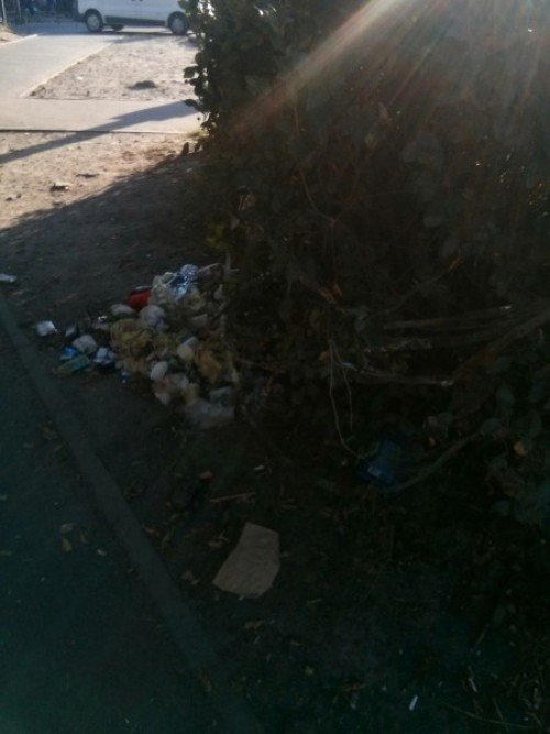 Луцьк зустрічає гостей горами сміття. ФОТО
