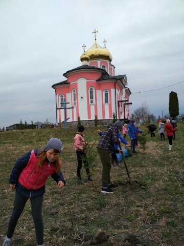 На Волині маленькі прихожани озеленили подвір'я церкви. ФОТО
