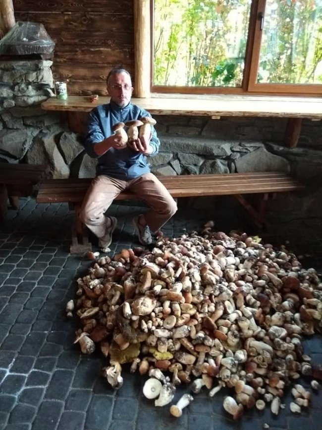 Волинський музикант назбирав гори грибів. ФОТО
