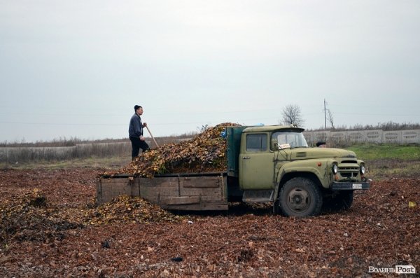 Щороку на цвинтарі у Гаразджі ховають понад тисячу людей. ФОТО