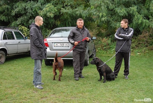 У Луцьку влаштували собаче свято. ФОТО