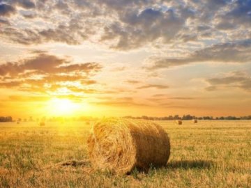 Погода у Луцьку на завтра, 21 серпня