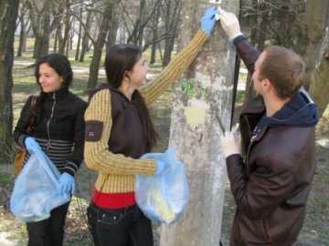 Міський голова почистив місто від агітації, окрім плакатів Єремеєва. ФОТО