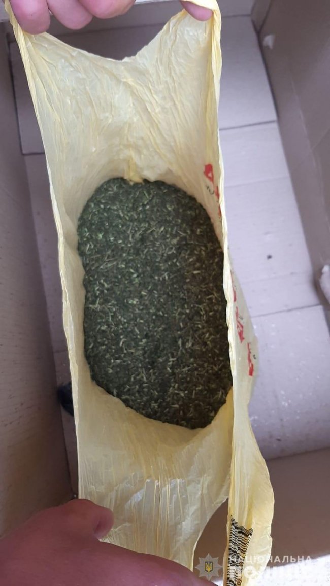 Викрили 28-річну лучанку, яка збувала наркотики на території всієї Волині. ФОТО