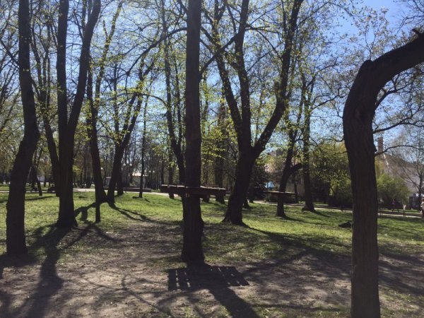 У ковельському парку ремонтують дитмайданчик та встановлюють мотузковий атракціон. ФОТО