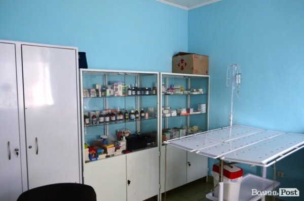 Майже 90% безпритульних тварин Луцька знаходять домівку. ФОТО