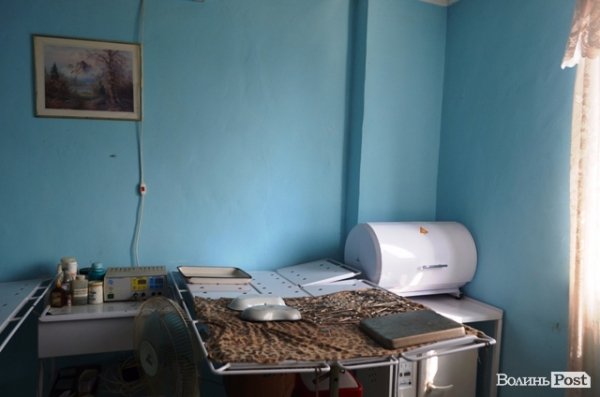 Майже 90% безпритульних тварин Луцька знаходять домівку. ФОТО