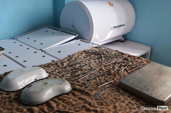 Майже 90% безпритульних тварин Луцька знаходять домівку. ФОТО