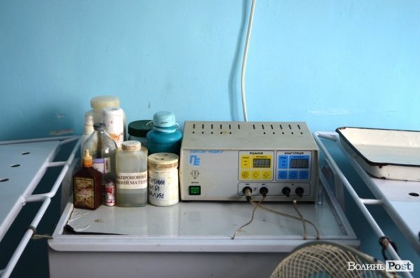 Майже 90% безпритульних тварин Луцька знаходять домівку. ФОТО