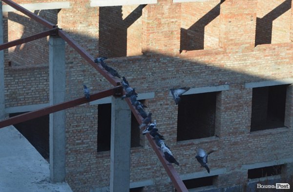 Як виглядає перинатальний центр Волині через недофінансування. ФОТО