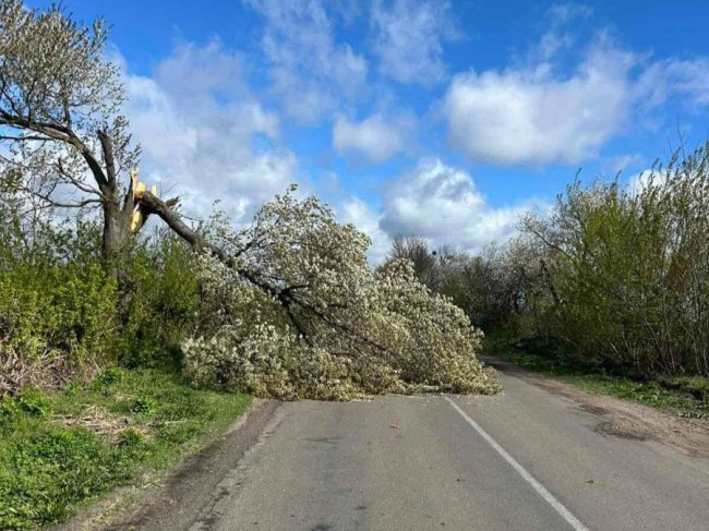 Перевернута зупинка і пошкоджена автівка: на Волині вітер наробив лиха. ФОТО, ВІДЕО