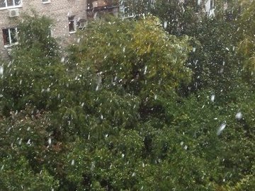 У Донецьку випав сніг. ФОТО