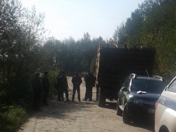 На Волині затримали вантажівки з «неправильним» лісом
