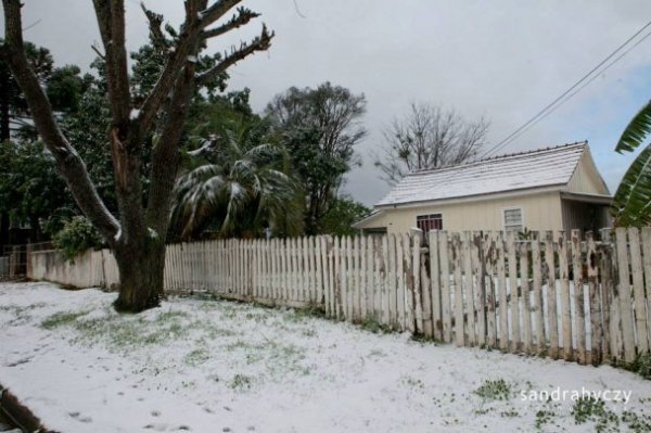 У Бразилії випав сніг. ФОТО. ВІДЕО