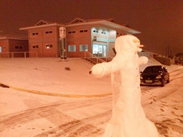 У Бразилії випав сніг. ФОТО. ВІДЕО