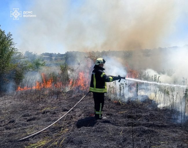 На Волині загасили 7 пожеж сухої трави та чагарників. ФОТО
