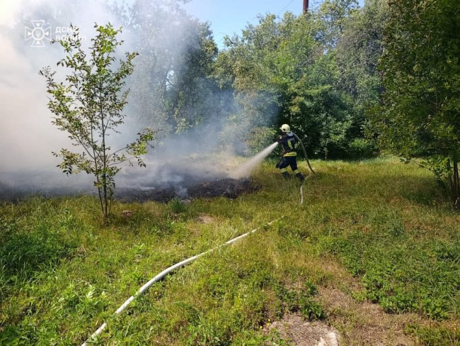 На Волині загасили 7 пожеж сухої трави та чагарників. ФОТО