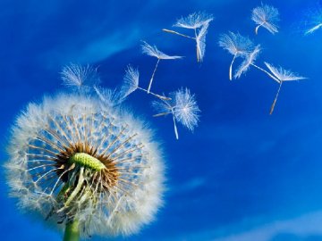 Якою буде погода у Луцьку та Волинській області у перший день літа