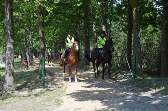 У волинських лісах запровадили кінні патрулі
