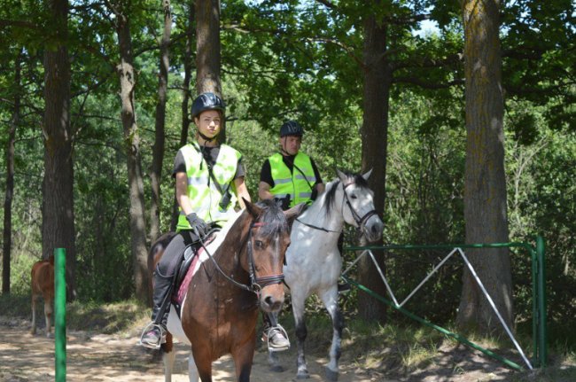 У волинських лісах запровадили кінні патрулі