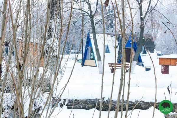 Зима в Луцькому зоопарку