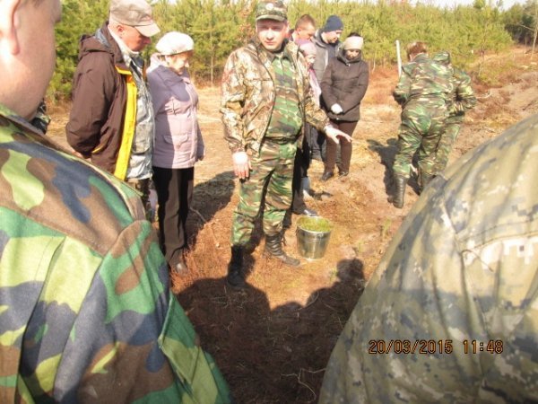 На Волині чиновники та підприємці садили дерева. ФОТО