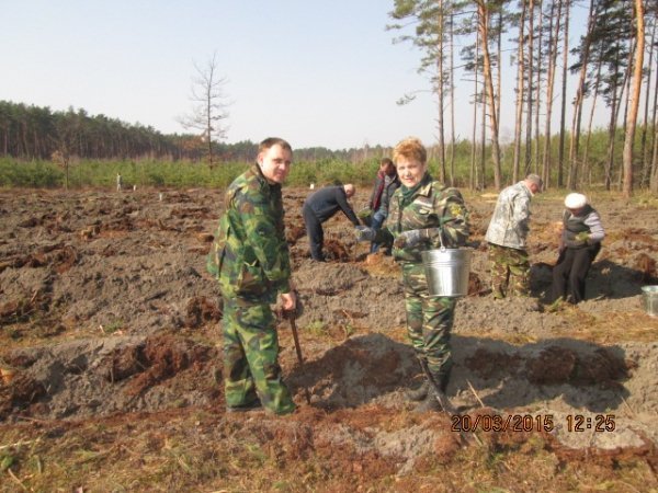 На Волині чиновники та підприємці садили дерева. ФОТО