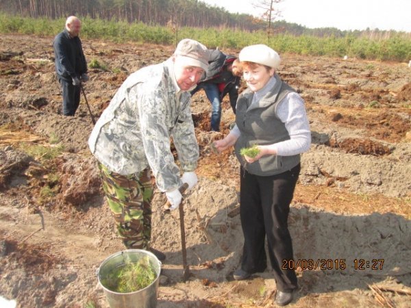 На Волині чиновники та підприємці садили дерева. ФОТО
