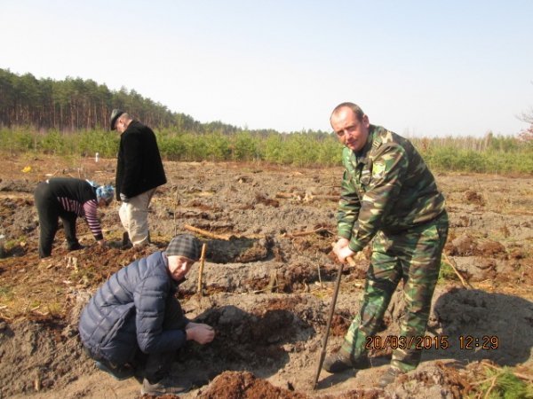На Волині чиновники та підприємці садили дерева. ФОТО