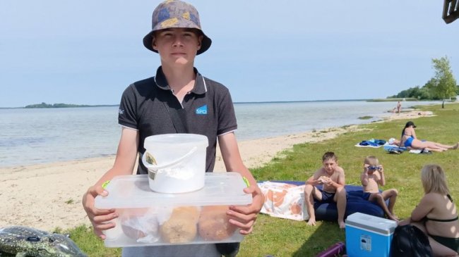 Печуть пампухи та облаштовують укриття: як готуються до туристичного сезону на Світязі. ВІДЕО