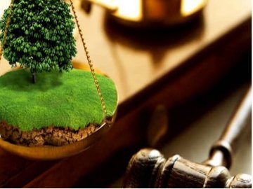 На Волині державі повернули особливо цінні землі, які коштують майже 500 мільйонів   