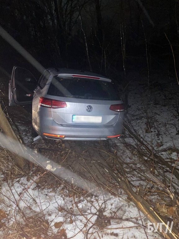 На Волині водійка злетіла з дороги і заїхала у хащі. ФОТО
