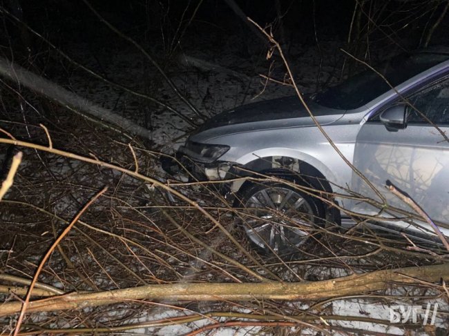 На Волині водійка злетіла з дороги і заїхала у хащі. ФОТО
