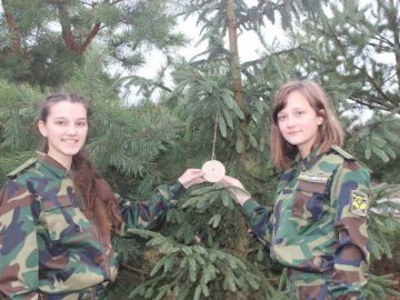 Волинські школярі створювали «пташині їдальні»