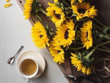 Добрі новини від ВолиньPost за 30 серпня 